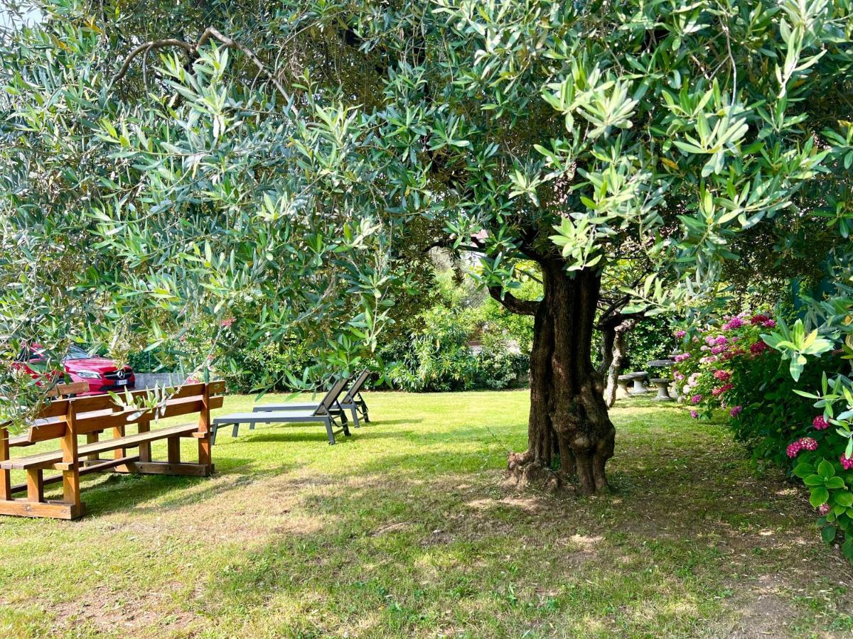 Villa Verde Riva del Garda Eksteriør bilde