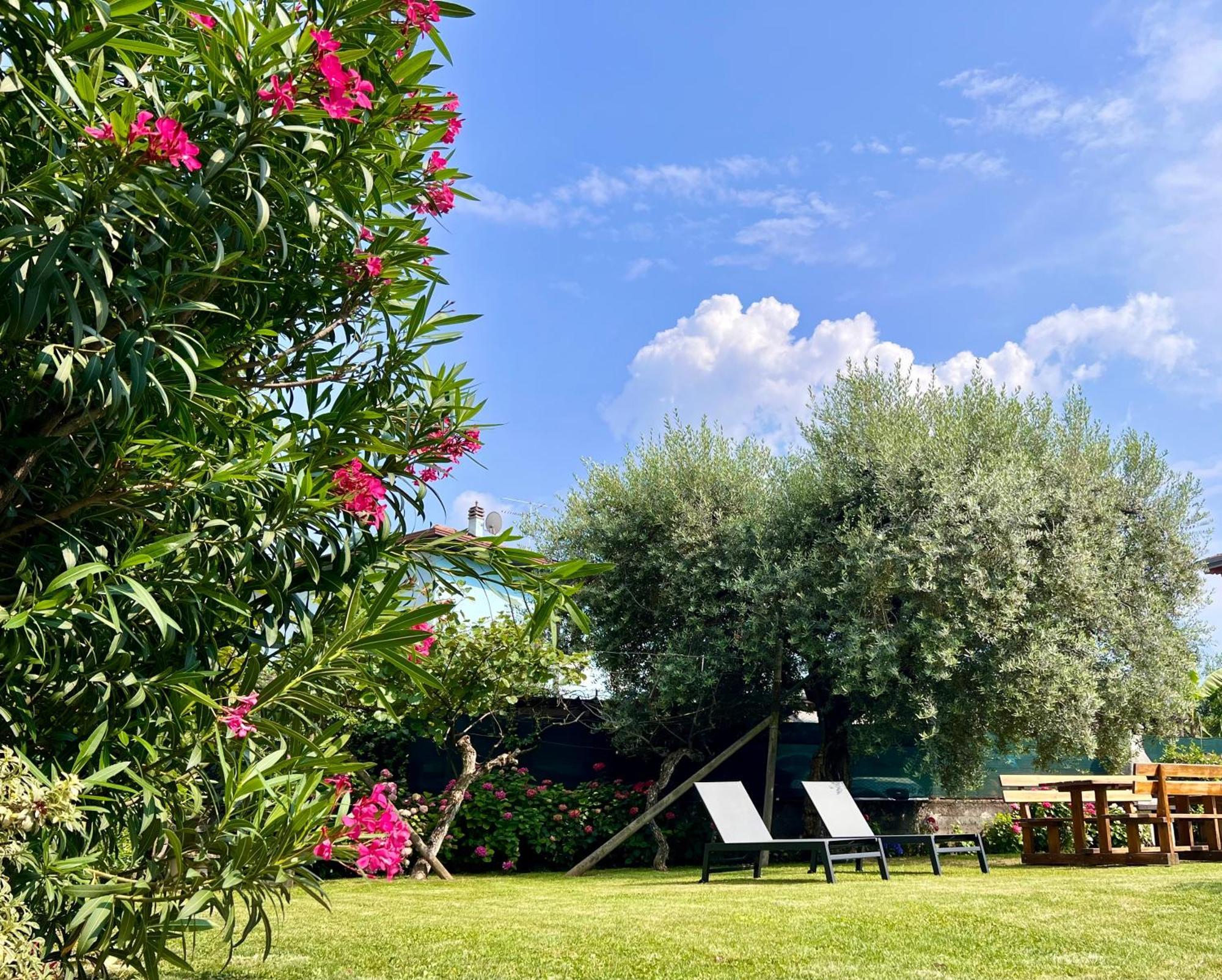 Villa Verde Riva del Garda Eksteriør bilde